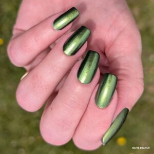 Olive Branch